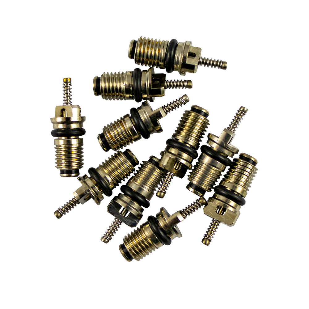 BAG OF 10 VALVES FOR REF. 53599 - 7X20MM R134A