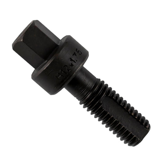 REPAIRING BOLT M12X1.75 - VOLVO (REF.53652)