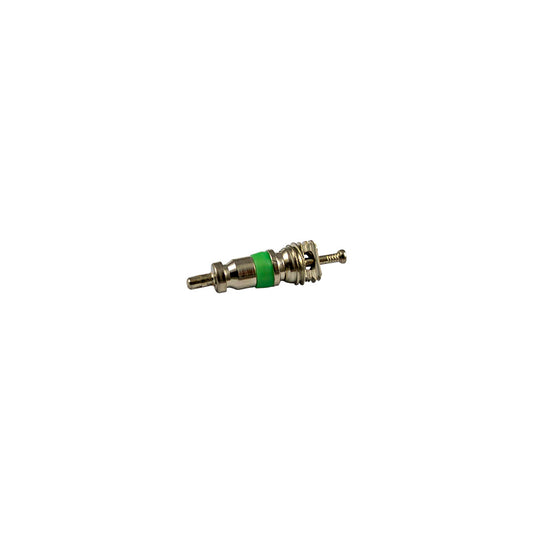 BAG OF 10 VALVES FOR REF. 53599 - 5X19MM R12 (GREEN)