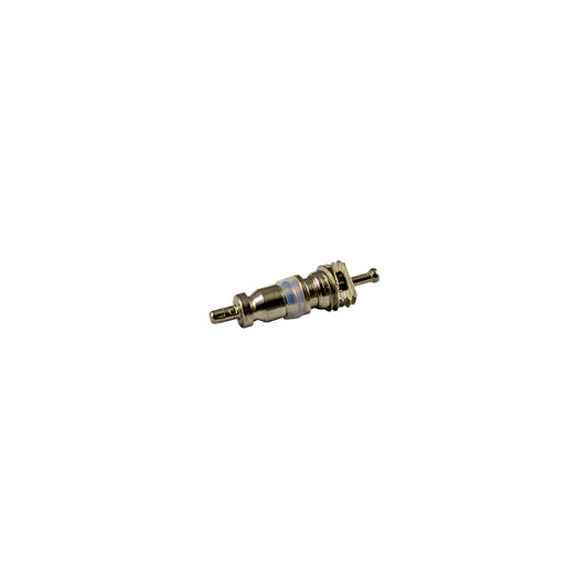 BAG OF 10 VALVES FOR REF. 53599 - 5X19MM R12