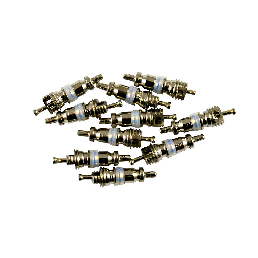 BAG OF 10 VALVES FOR REF. 53599 - 5X19MM R12