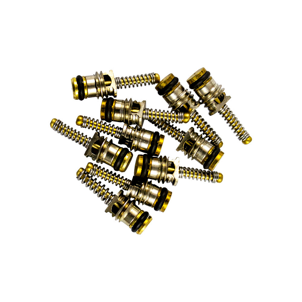 BAG OF 10 VALVES FOR REF. 53599 - 6X19MM