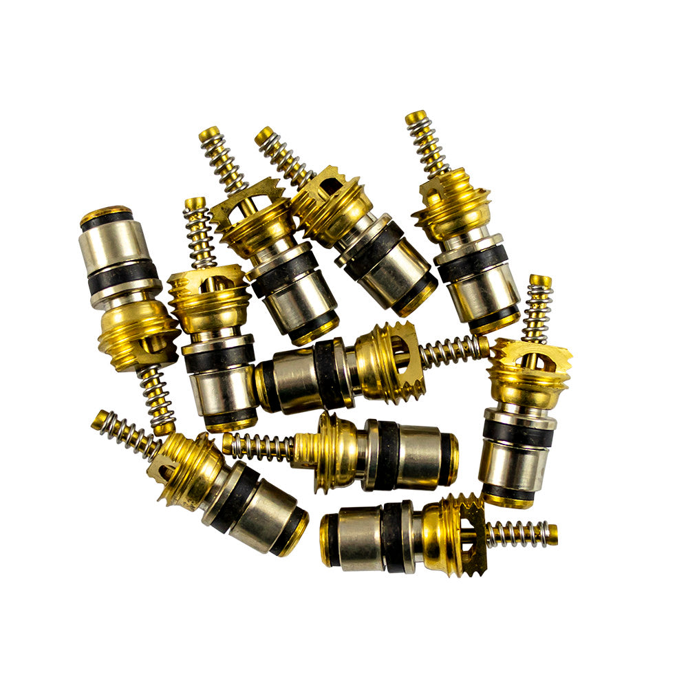 BAG OF 10 VALVES FOR REF. 53599 - 8X22MM