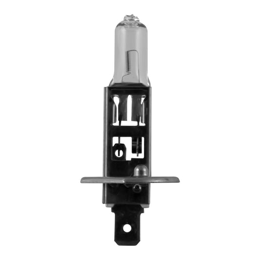 LAMP OBN H1 12V 55W