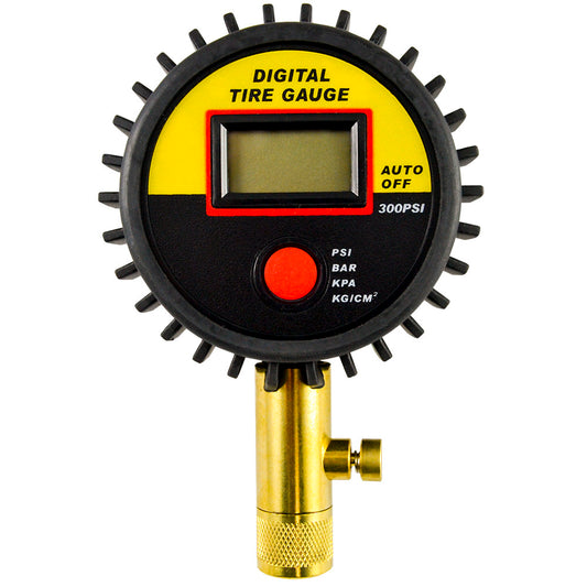 DIGITAL TIRE GAUGE (0-15BAR)