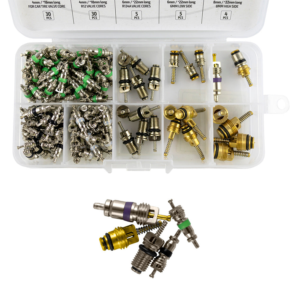 CAR AIR CONDITIONING SCHRADER VALVE CORE SET 134PCS